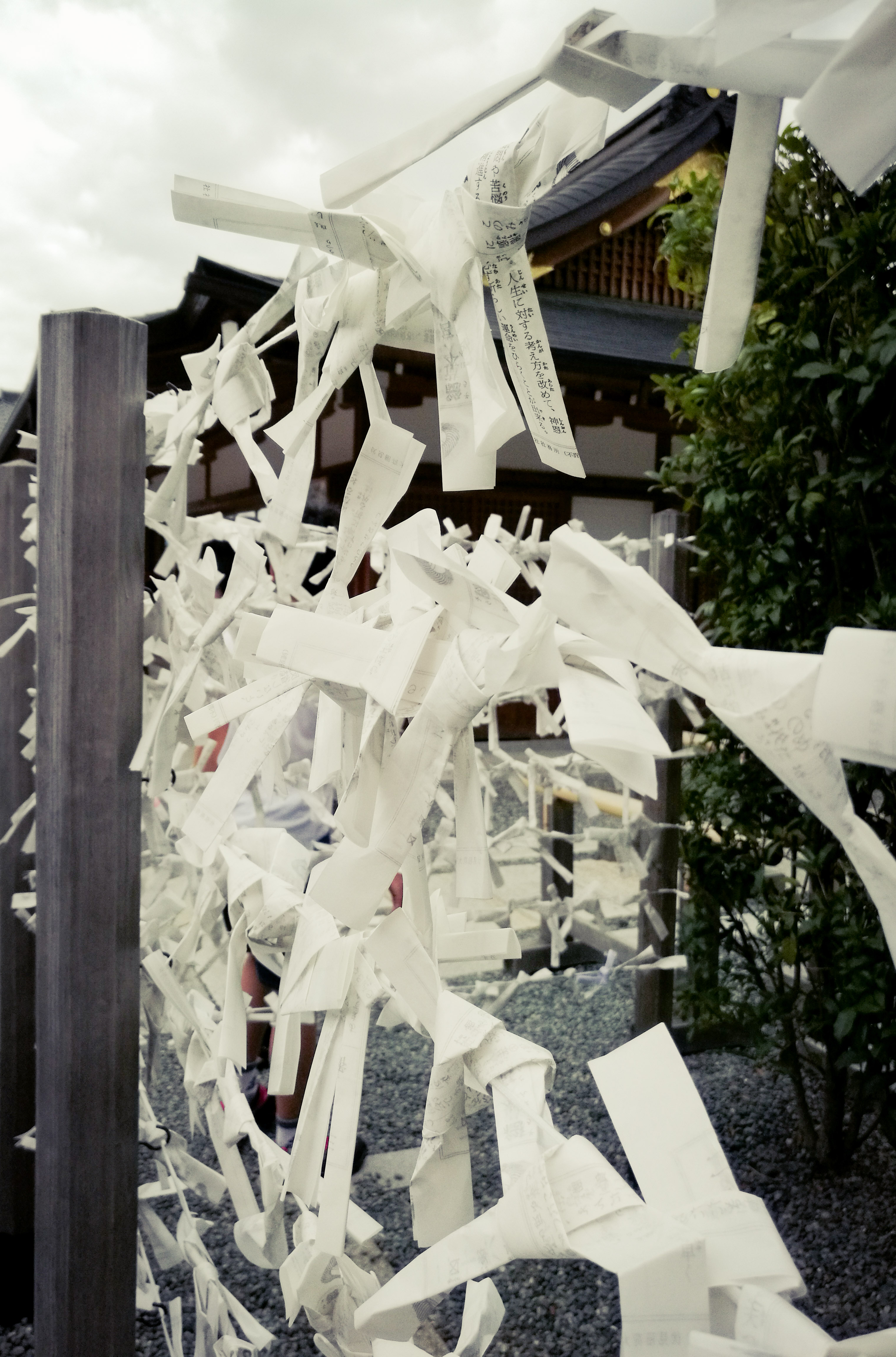 Fushimi Inari Taisha Fortune